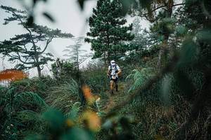 BIB: 
                            <button type="button" onclick="openModal(25258948)" class="btn btn-primary btn-sm float-right btn-popup" data-toggle="modal" data-target=".modal-high-quality">
                        <i class="fas fa-shopping-cart"></i> Add to Cart
                    </button>
                                            <button type="button" onclick="isThisMe(25258948, true)" class="btn btn-success btn-sm float-right btn-popup btn-isme hidden" data-toggle="tooltip" data-placement="bottom" title="นี่คือรูปของคุณใช่ไหม คลิกที่นี่เพื่อเอาเข้าอัลบั้ม">
                        <i class="fas fa-plus"></i> Add to album
                    </button>
                    <button type="button" onclick="isThisMe(25258948, false)" class="btn btn-warning btn-sm float-right btn-popup btn-isnotme hidden">
                        <i class="fas fa-ban"></i> Remove from album
                    </button>